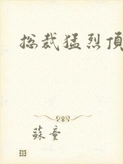总裁猛烈顶弄h