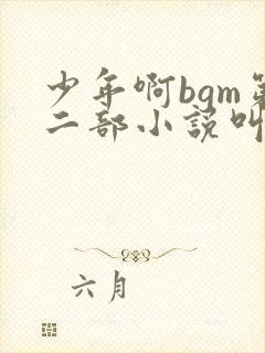 少年啊bgm第二部小说叫什么封面