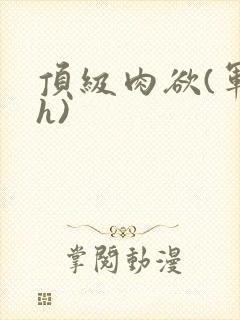 顶级肉欲(军高h)