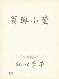 翁与小莹封面