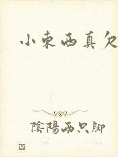 小东西真欠弄