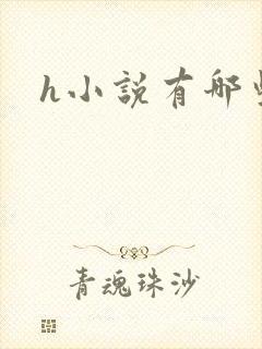 h小说有哪些