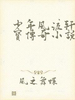 少年风流轩辕大宝传奇小说封面