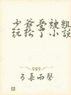 少爷受被粗汉H玩松了小说