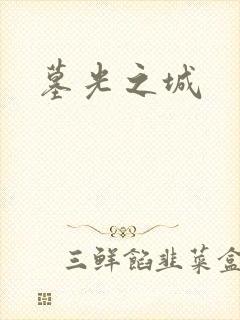 墓光之城封面