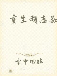 重生赵志敬封面