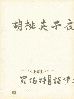 胡桃夹子夜未眠