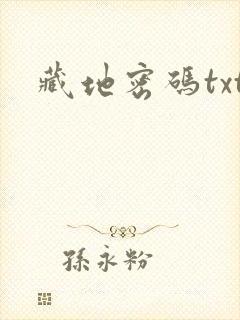 藏地密码txt封面