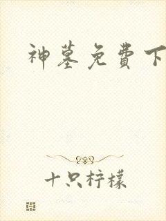 神墓免费下载