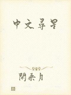 中文寻星