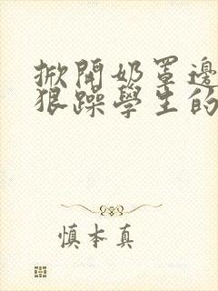 掀开奶罩边躁狠狠躁学生的小文字