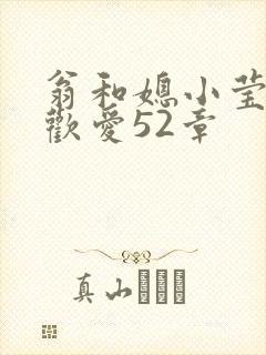 翁和媳小莹浴室欢爱52章封面