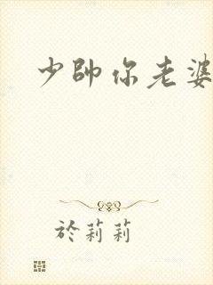 少帅你老婆