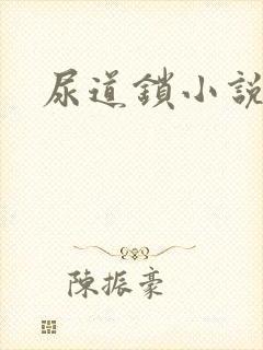 尿道锁小说封面