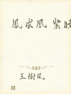 凤求凰 紫晓