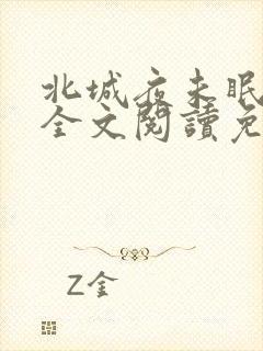 北城夜未眠小说全文阅读免费封面
