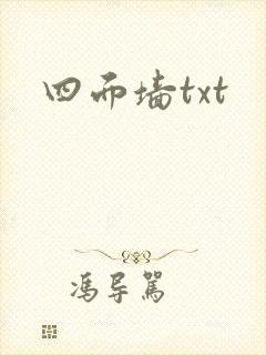 四面墙txt封面