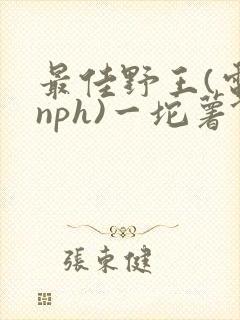 最佳野王(电竞nph)一坨薯饼