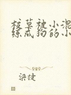 校草被小混混训练成狗的小说封面