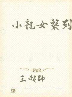 小龙女系列小说