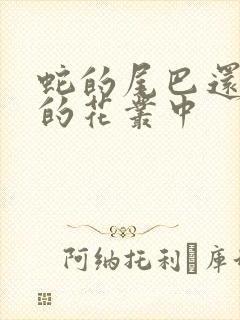 蛇的尾巴还在我的花丛中