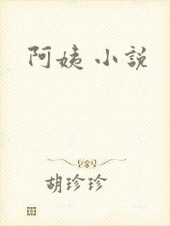 阿姨 小说