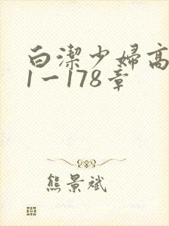 白洁少妇高义第1一178章封面