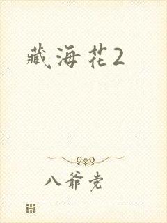 藏海花2