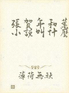 张贺年和叶繁姿小说叫什么名字封面