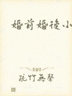 婚前婚后小说封面