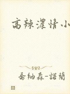 高辣浓情小说封面