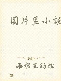 图片区小说区