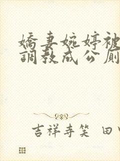 娇妻婉婷被黑人调教成公厕小说