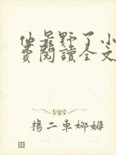 他最野了小说免费阅读全文封面