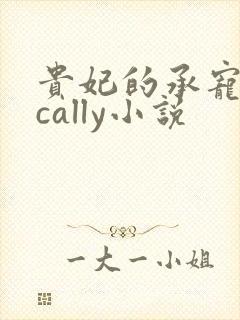 贵妃的承宠日常cally小说
