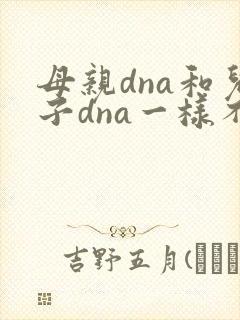 母亲dna和儿子dna一样不封面