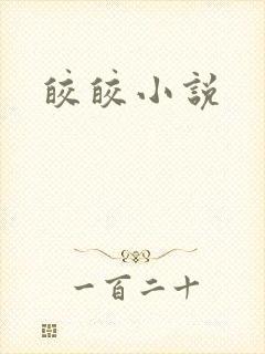 皎皎小说封面