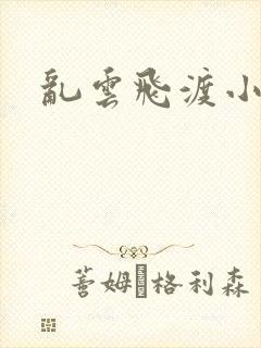 乱云飞渡小说