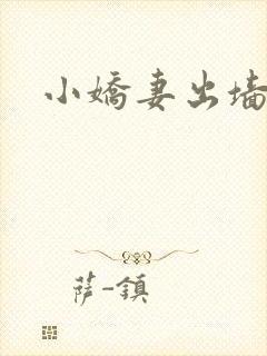 小娇妻出墙记