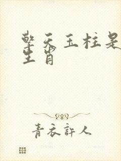 擎天玉柱是什么生肖
