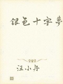 银色十字梦封面