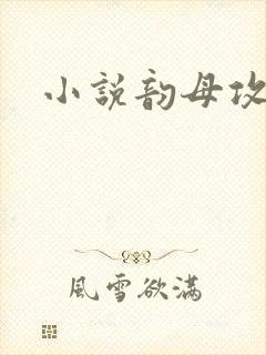 小说韵母攻略