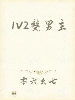 1V2双男主