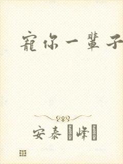 宠你一辈子封面