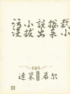 污小说总裁整夜没拔出来小说在线阅读