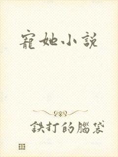 宠她小说封面