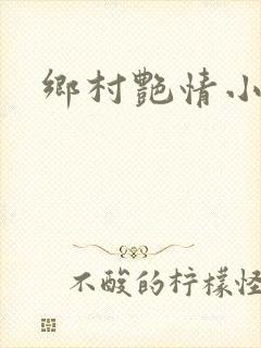 乡村艳情小说