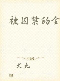 被囚禁的金丝雀封面