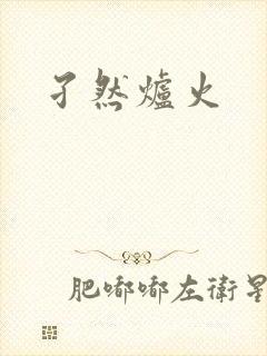 孑然炉火