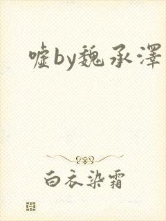 嘘by魏承泽